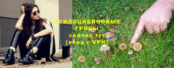 шишки Надым