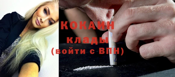 индика Наволоки