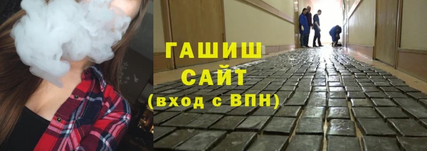 шишки Надым