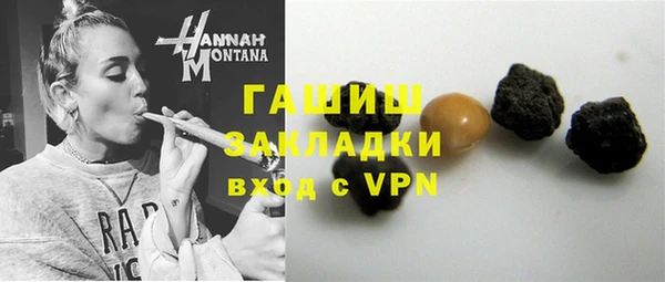 шишки Надым