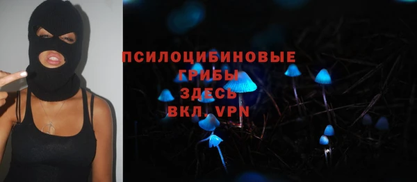 соль ск Аркадак