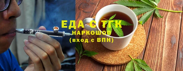 шишки Надым