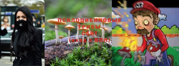а пвп мука Навашино