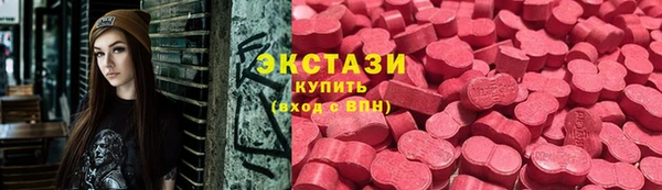 шишки Надым